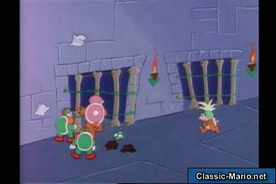 The Yoshi Shuffle 20100615 21005696