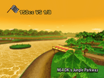 DK's Jungle Parkway N64