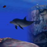 イルカ (Dolphin)