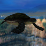 カメ (Turtle)