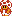 Toad