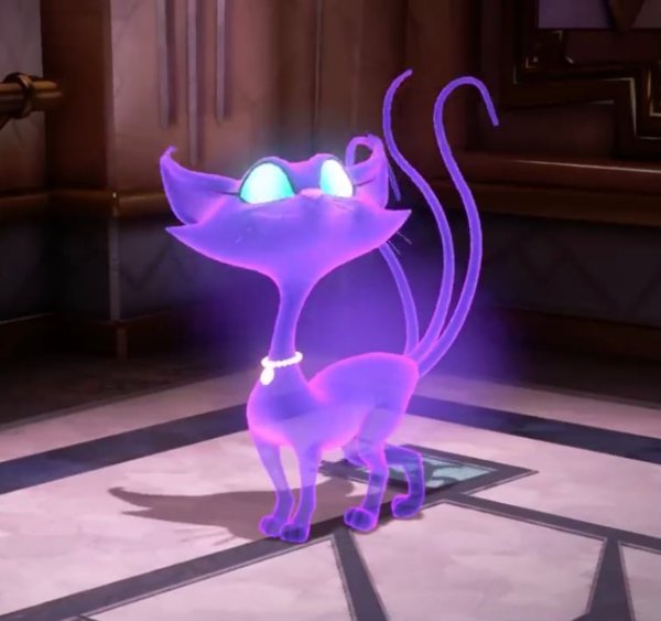 Polterkitty