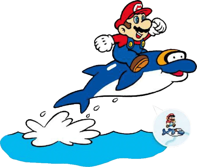 Dolphin artwork